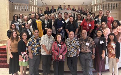 Launching the USAPI Regional Health Workforce Development Technical Working Group